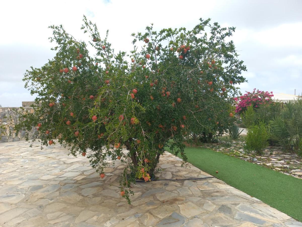 Jebel Shams Resort منتجع جبل شمس Dar Sawda Kültér fotó